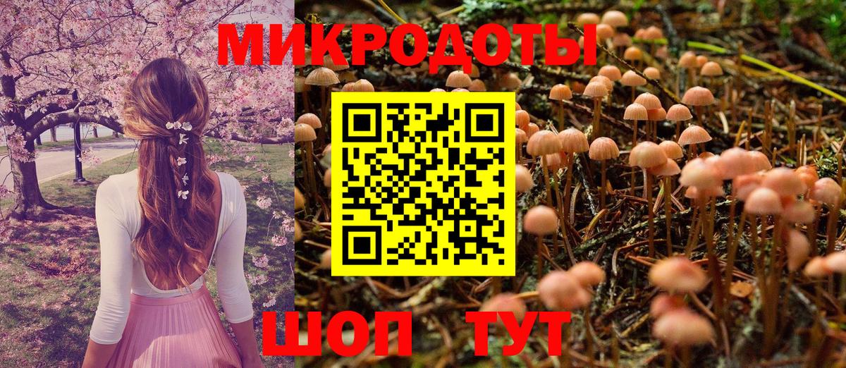 Галлюциногенные грибы MAGIC MUSHROOMS Богданович